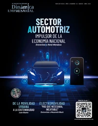 año 11 numero 14