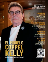 año 11 numero 15
